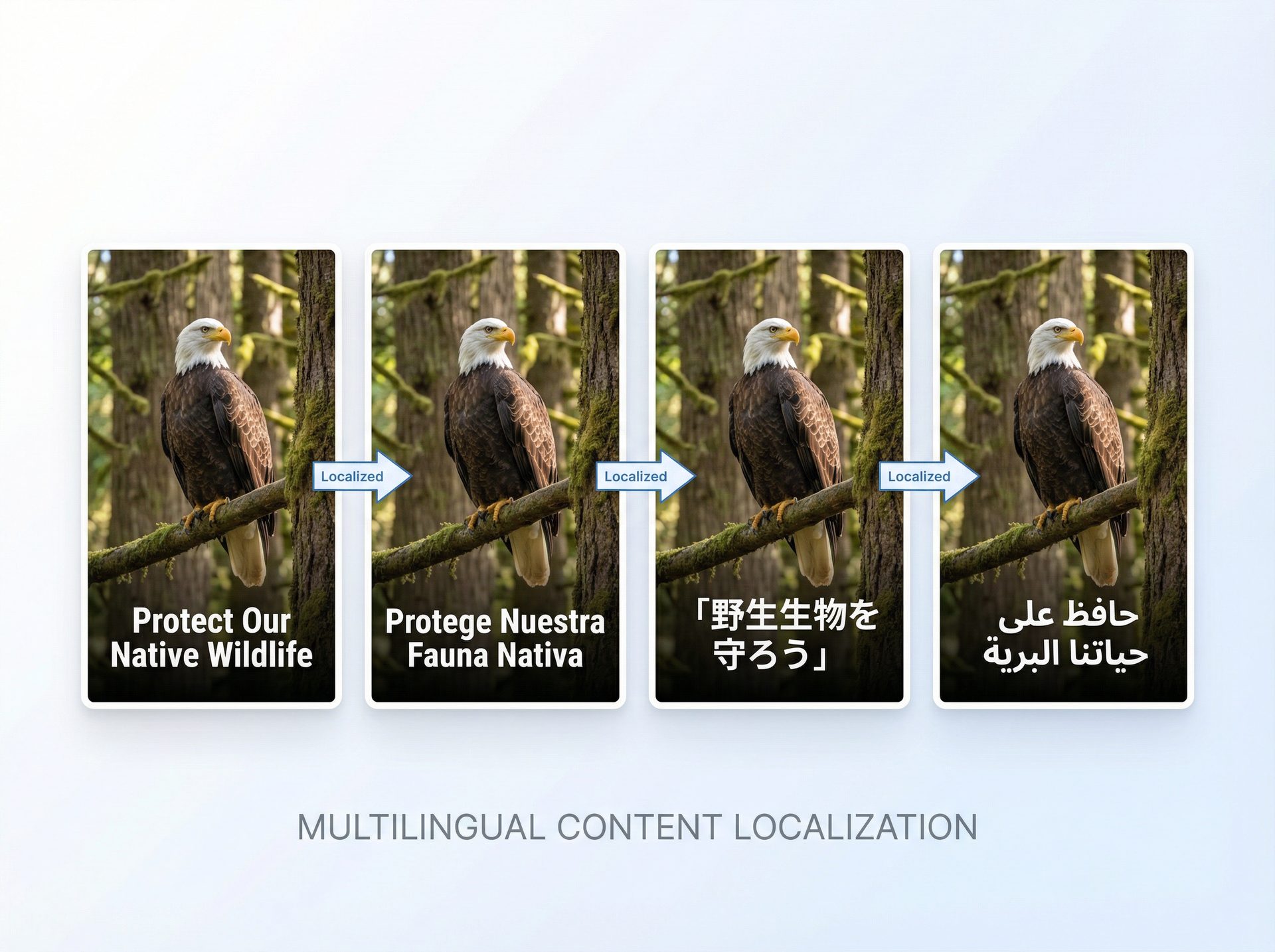 Multilingual Localization
